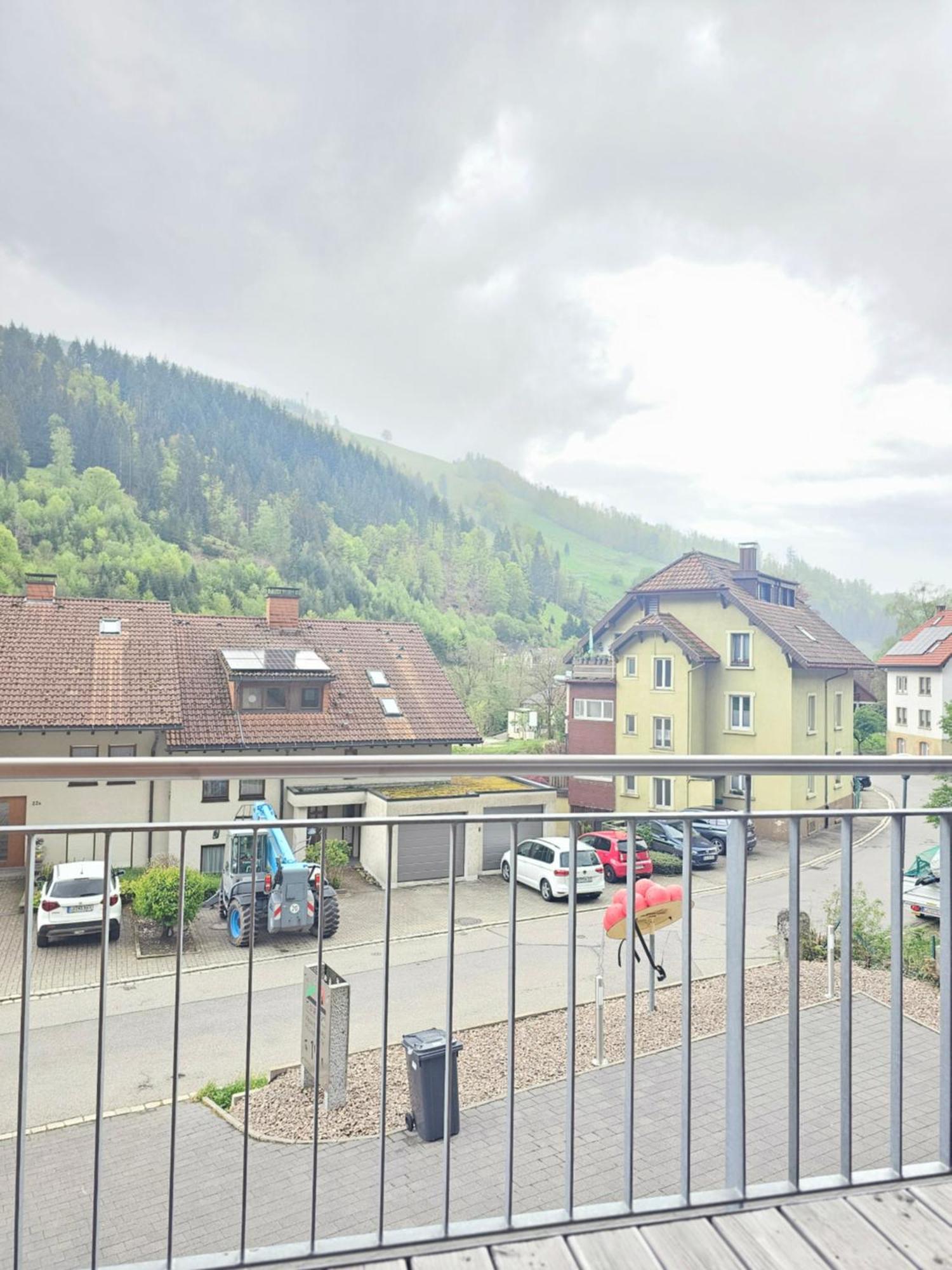 Black Forest I Sauna Auf Dem Balkon I Boxspring I Nespresso I Ausblick I Wasserfaelle Im Ort Todtnau Buitenkant foto